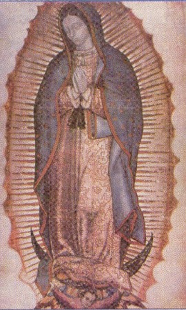 La Virgen de Guadalupe, patrona de los nios por nacer.